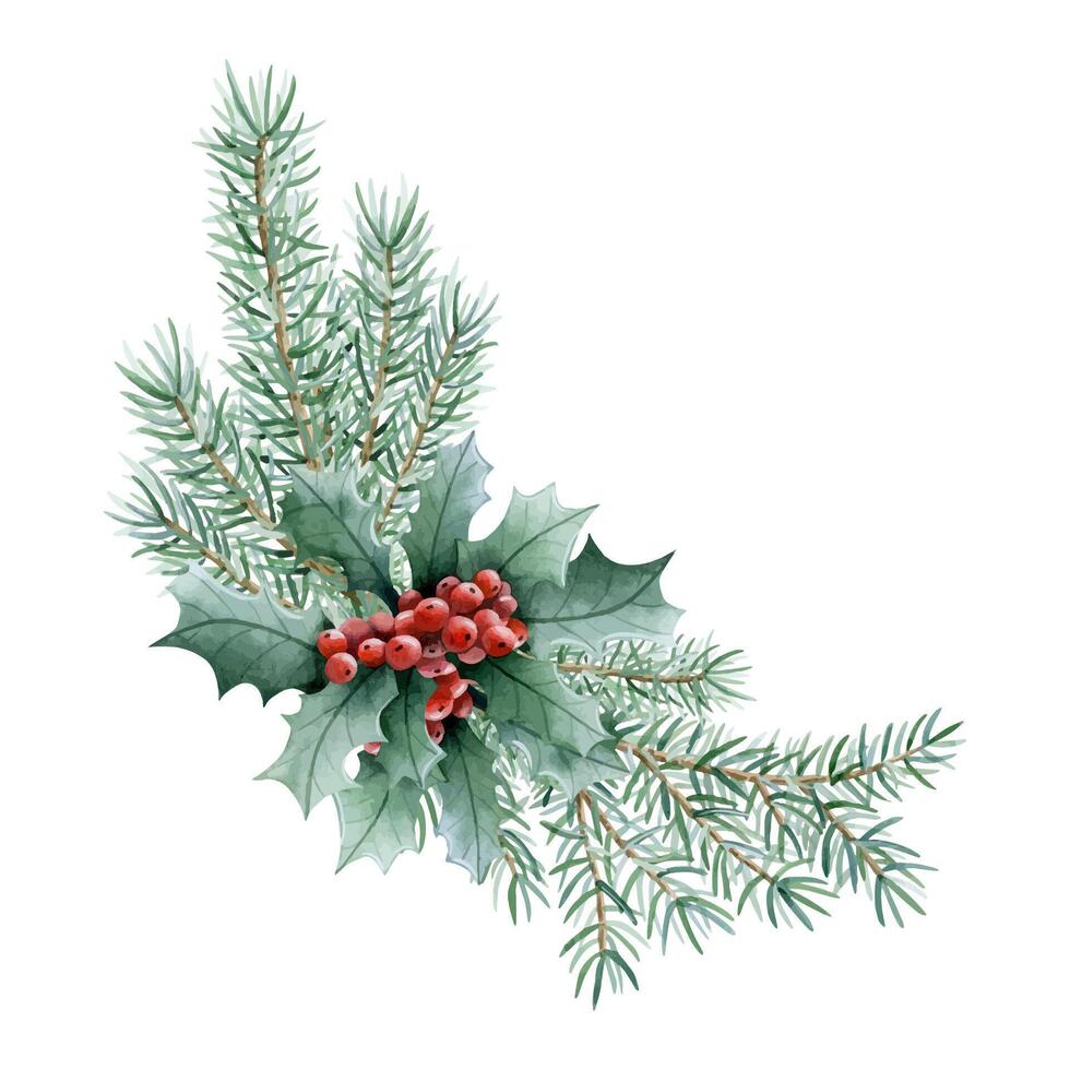 Christmas red berries with fir tree branches watercolor illustration. Corner composition with holly and spruce plants vector