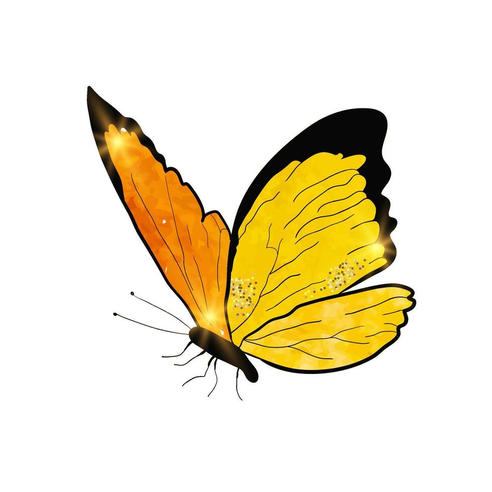 Butterfly Watercolor illustration. Hand drawn underwater element design. Artistic marine design element. Illustration for greeting cards, printing and other design projects. vector