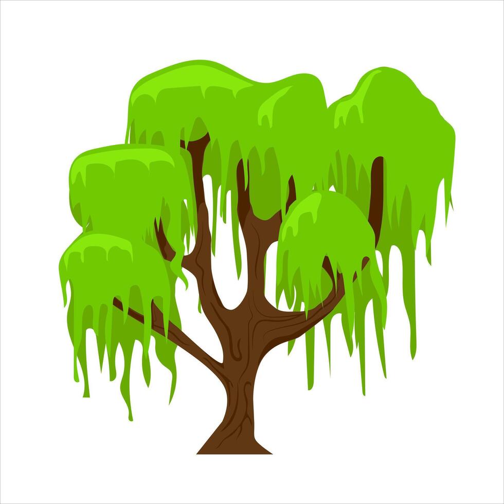 A Willow Tree with green leaves and a white background. vector
