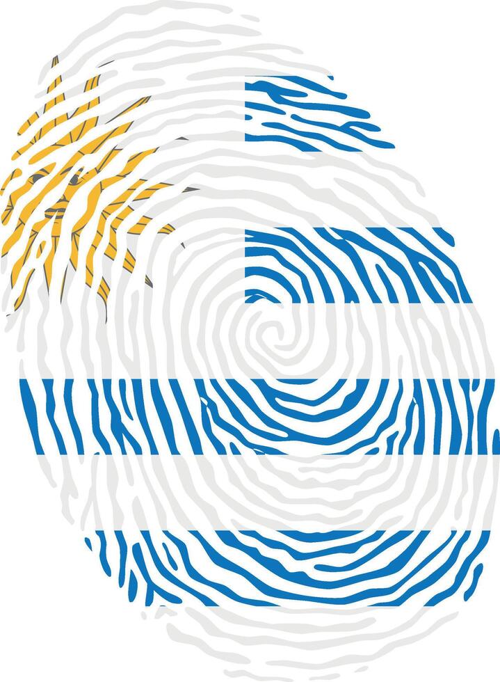 Fingerprint colored with the national flag of Uruguay vector