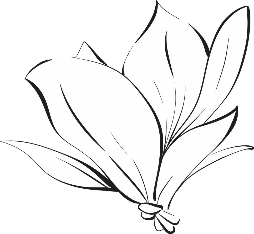 flower, magnolia in graphics style. Paris springtime, romantic line. Botanical illustration, flora. Black circuit silhouette vector