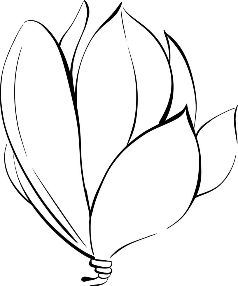 flower, magnolia in graphics style. Paris springtime, romantic line. Botanical illustration, flora. Black circuit silhouette vector