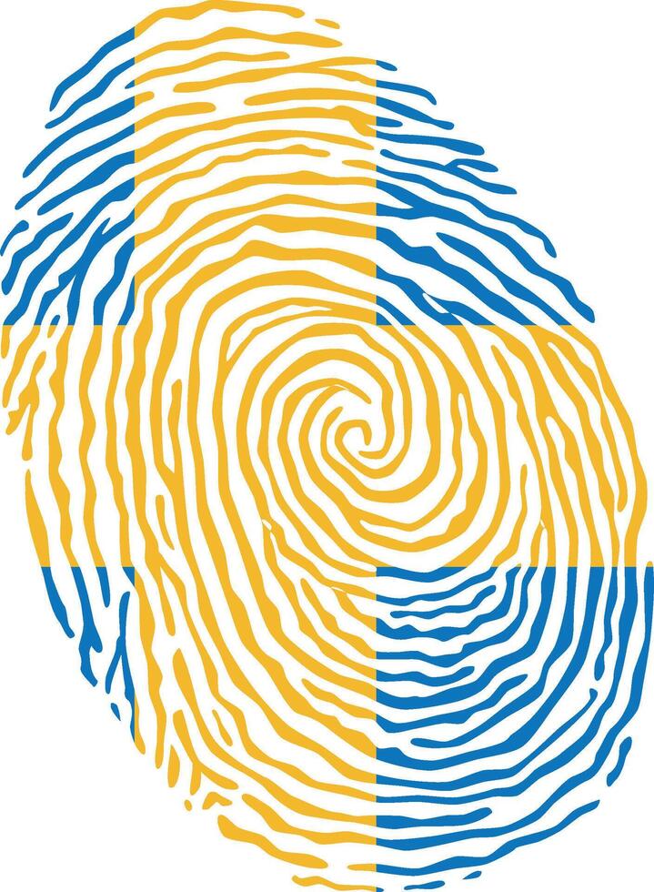 Fingerprint colored with the national flag of Sweden vector