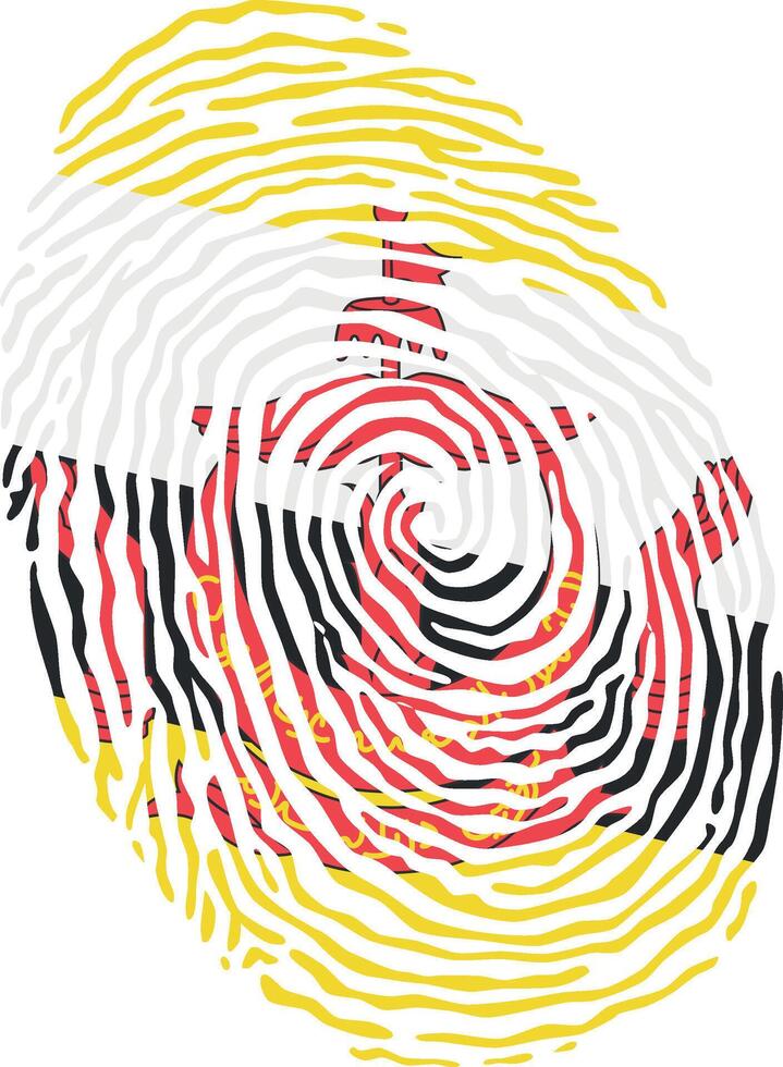 Fingerprint colored with the national flag of Brunei vector