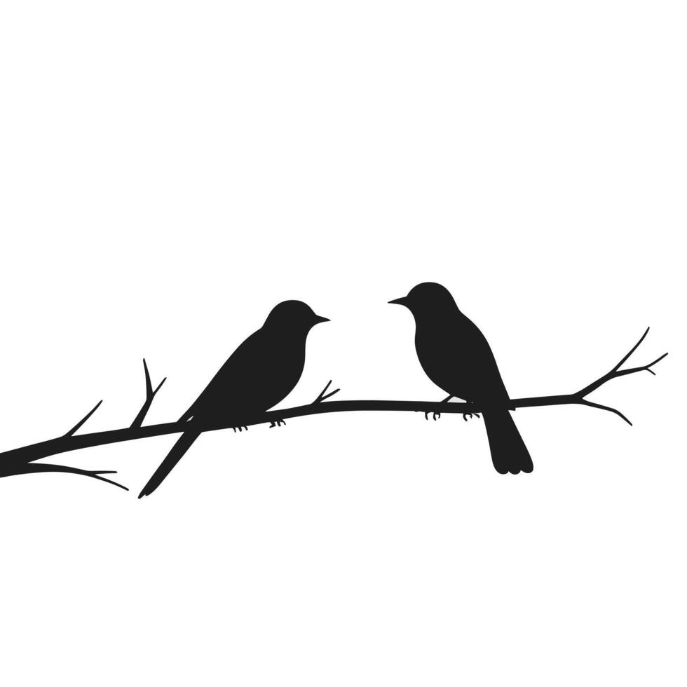 Bird silhouette collection. Set of birds black and white illustration vector