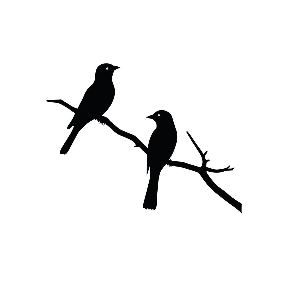 Bird silhouette collection. Set of birds black and white illustration vector