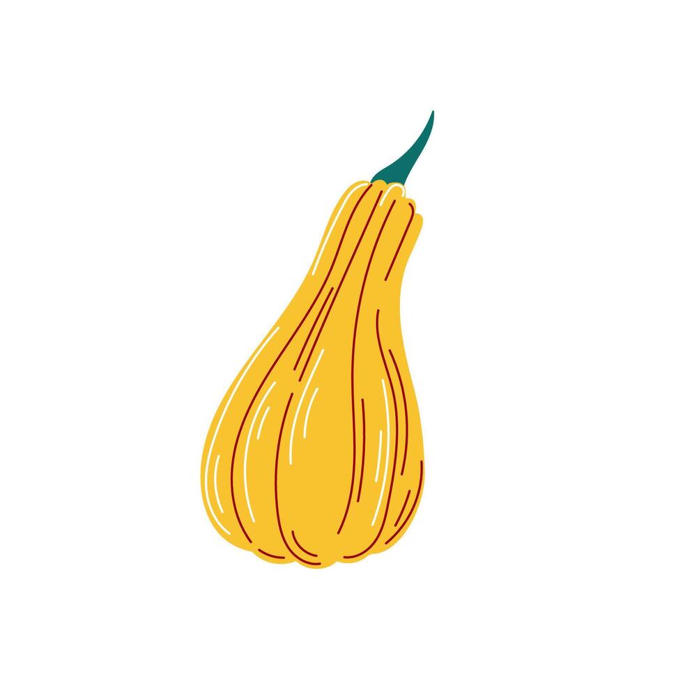 Yellow pumpkin icon in flat style. Autumn design. illustration isolated on a white background. vector