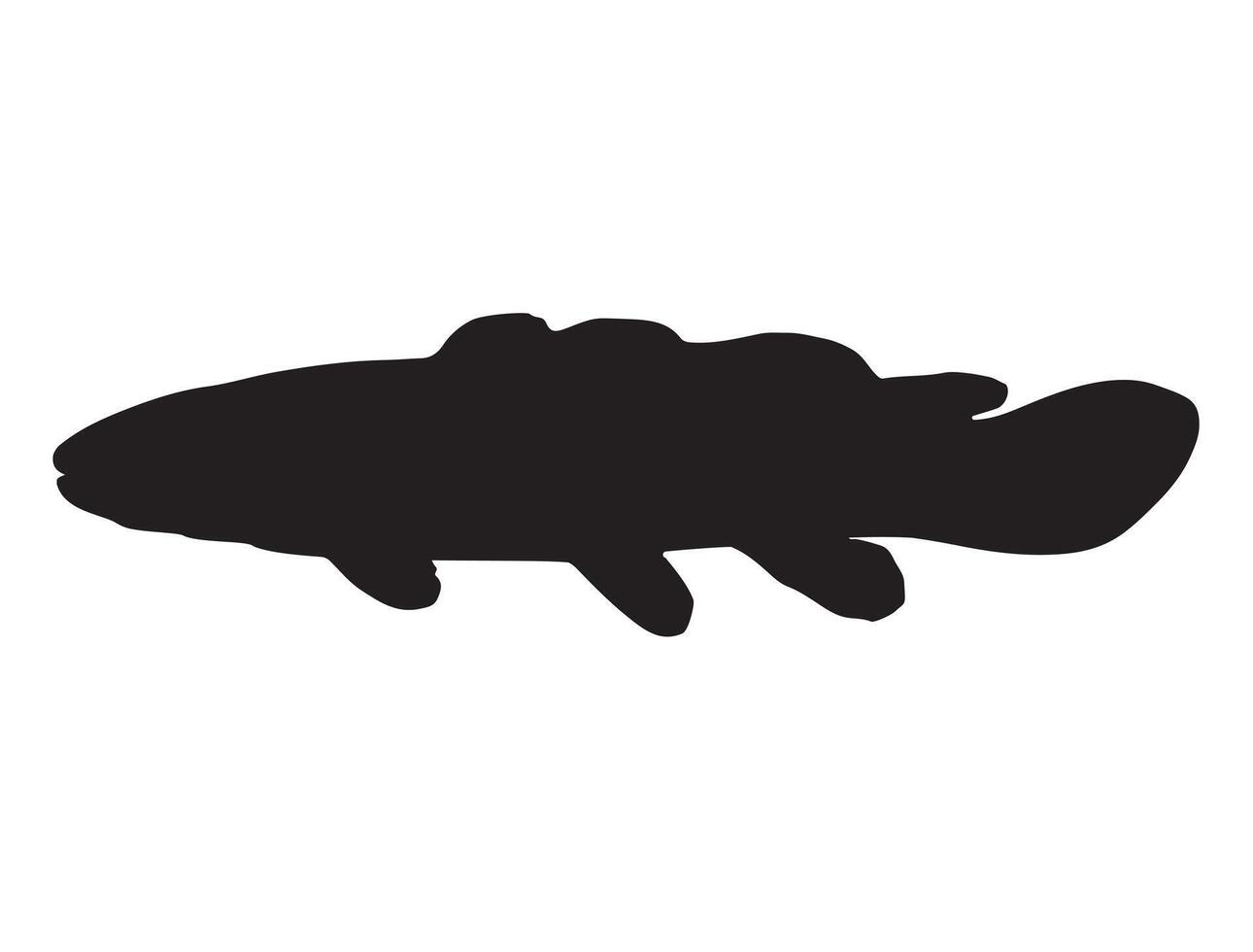 Bowfin fish silhouette on white background vector