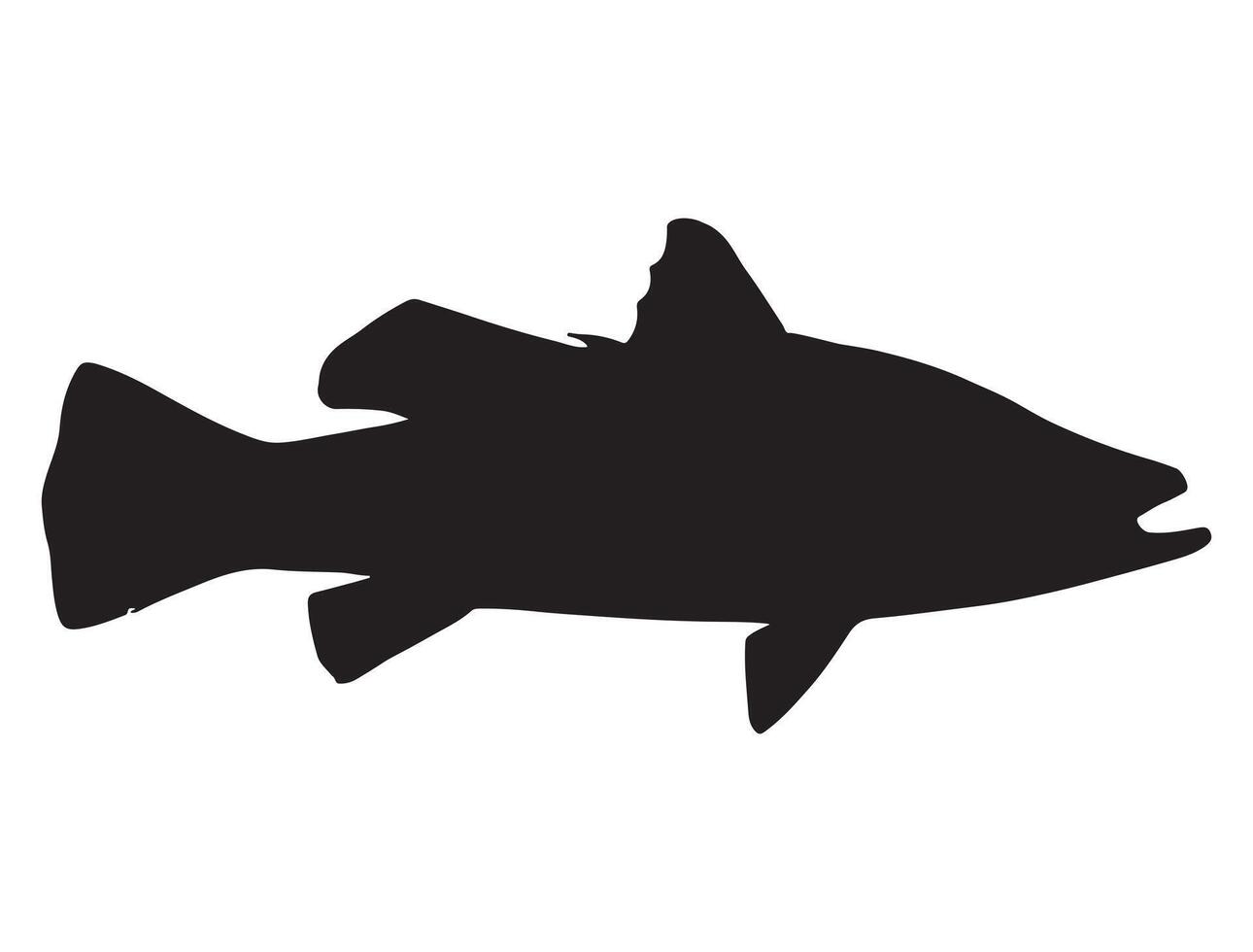 Barramundi fish silhouette vector