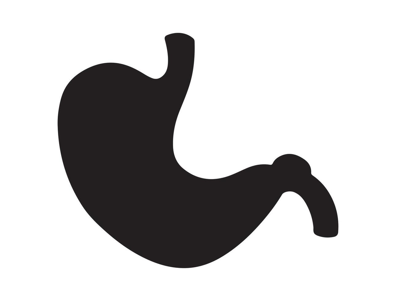 Stomach silhouette on white background vector