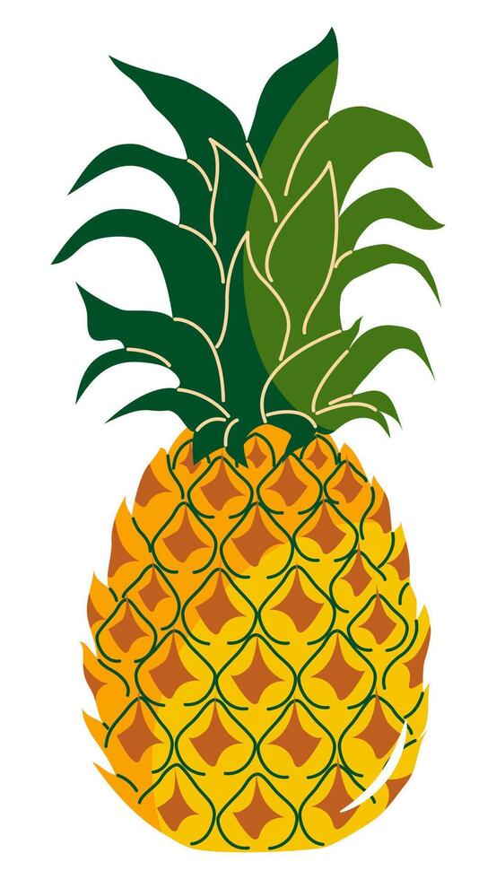 Drawing of a pineapple. Flat style. vector