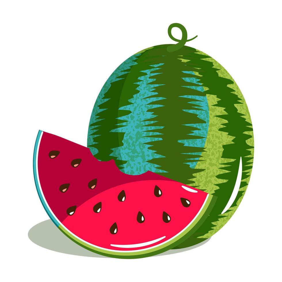 Watermelon and a slice of watermelon. vector