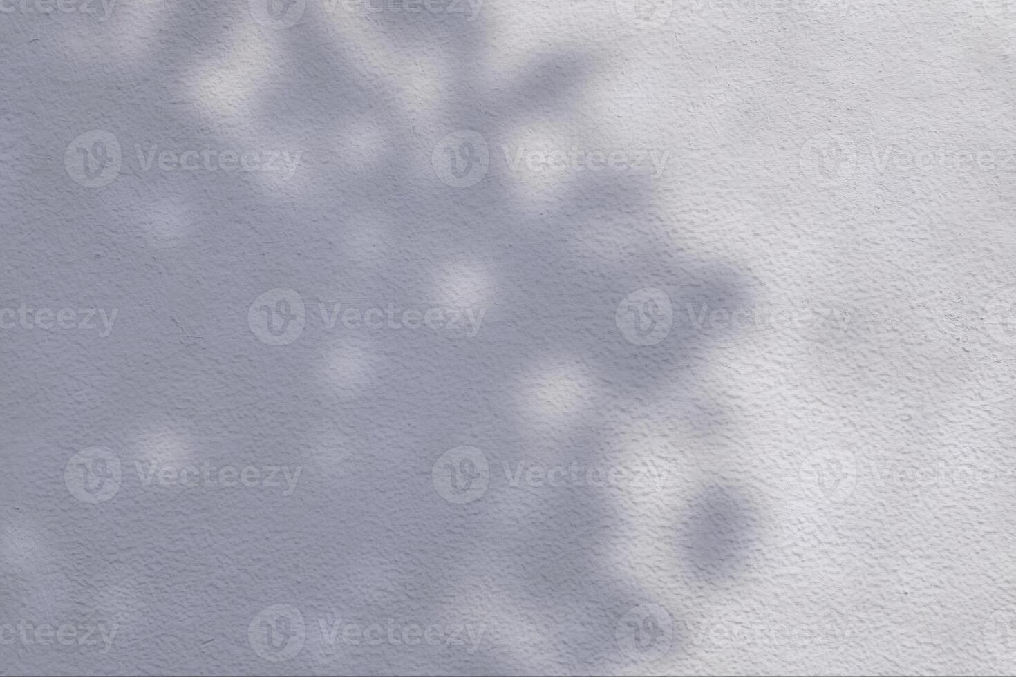 Leaves and Tree Shadow on White Concrete Wall Background with Space for Text photo