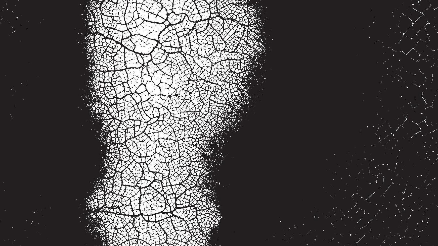 Abstract Black Grunge Texture on White Background for Overlay Designs vector
