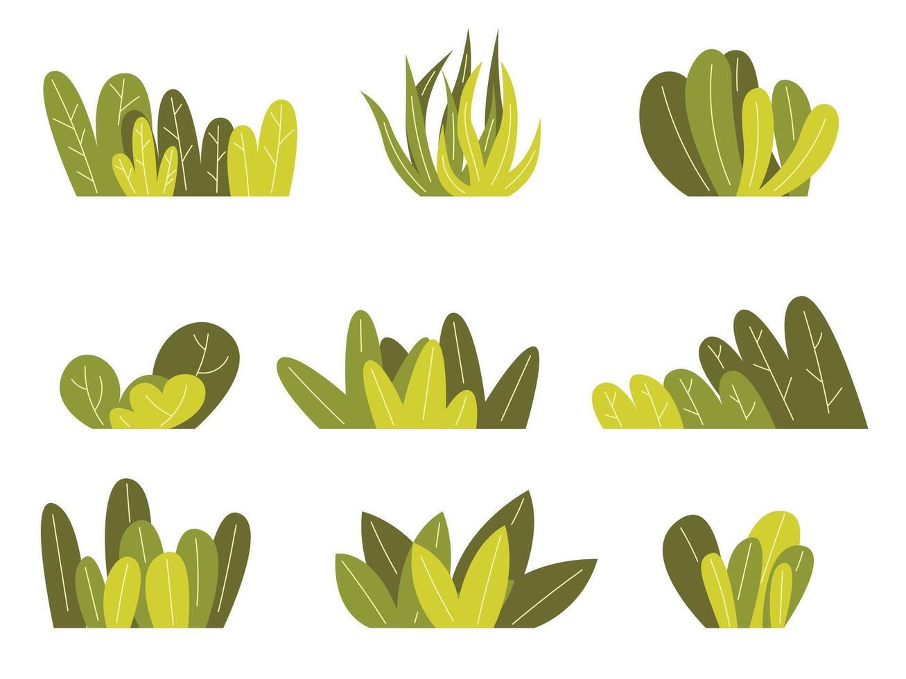 Set of garden green plant. Shrub bush shrubbery tree2 vector
