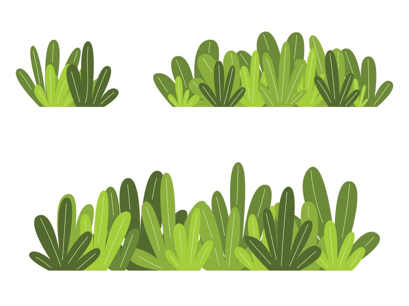 Set of garden green plant. Shrub bush shrubbery tree vector