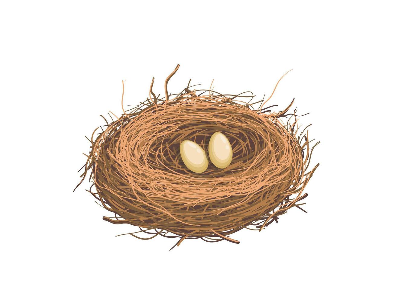 Hand drawn bird nest holds eggs illustration vector