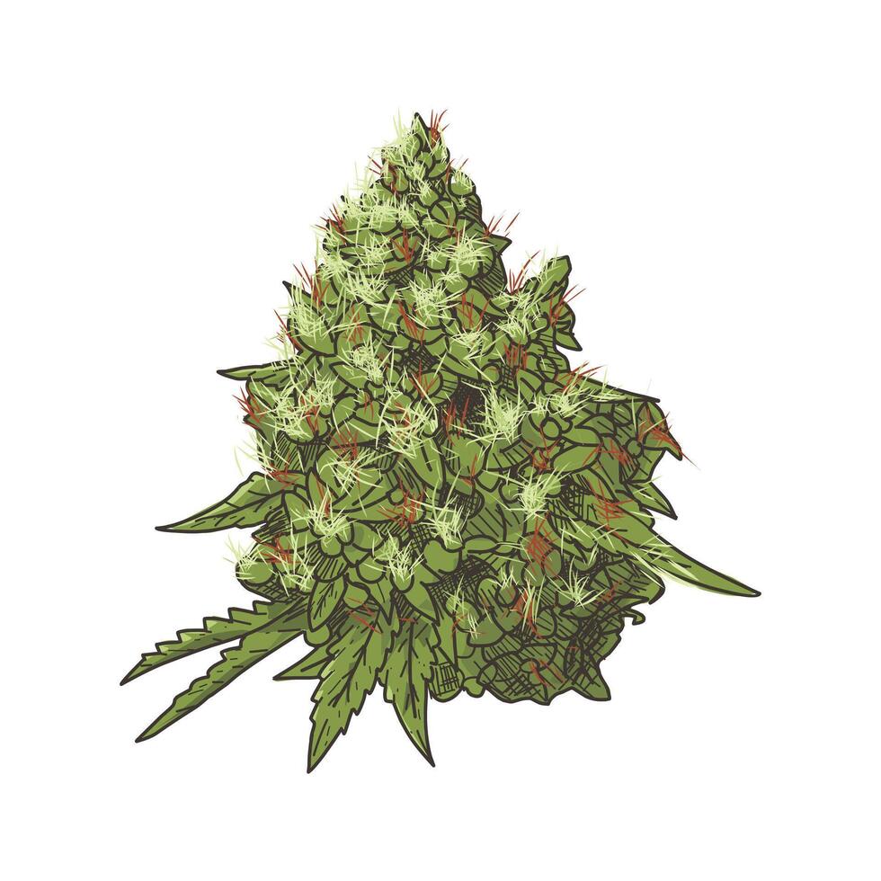 buds vintage hand drawn style vector
