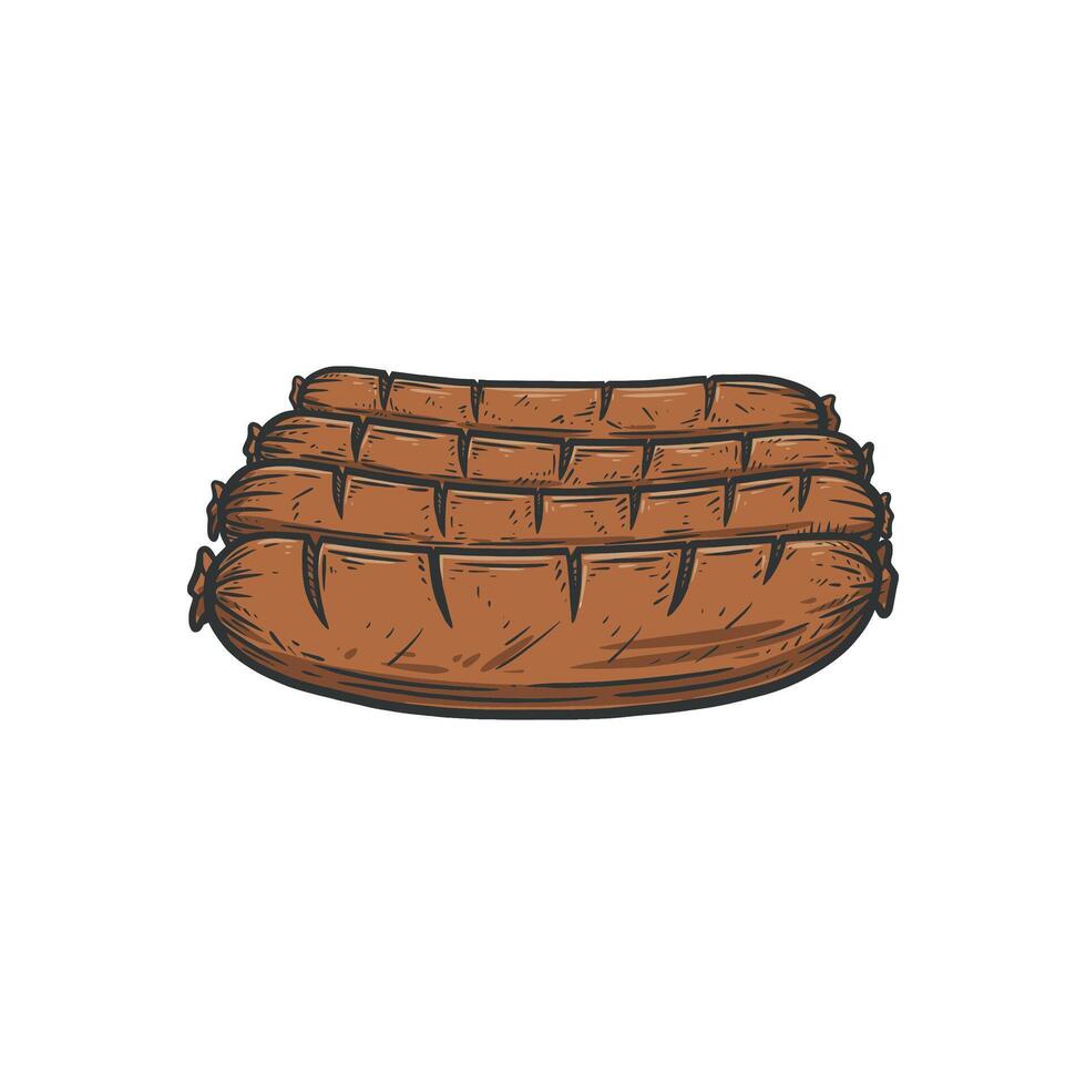 roasted sausage . vector