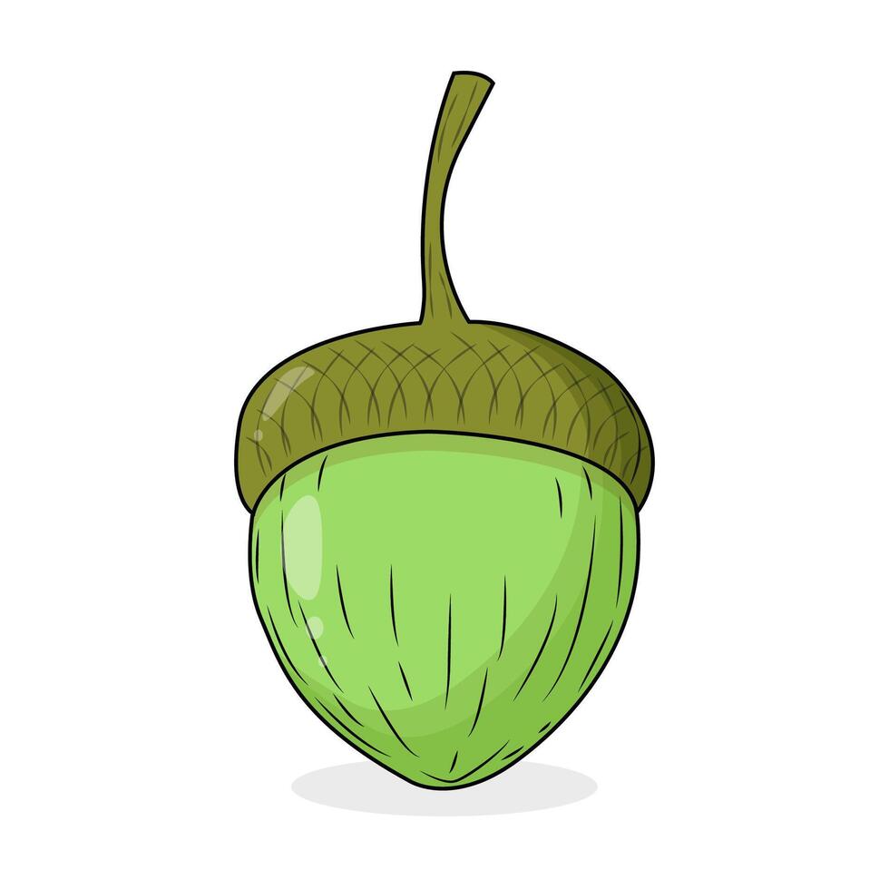A green acorn in a cartoon style. vector
