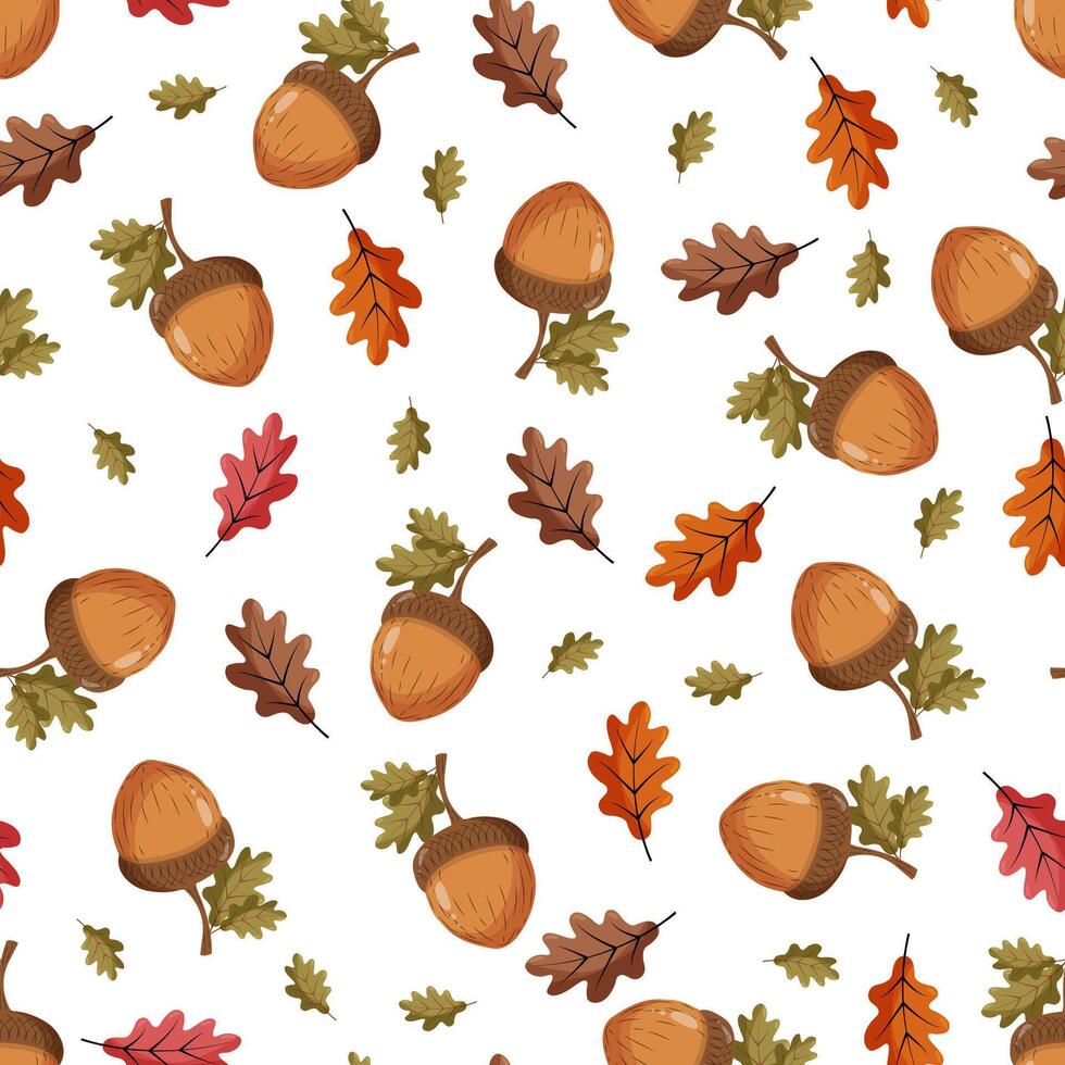 Seamless pattern with an acorn on a white background. Autumn pattern with leaves vector