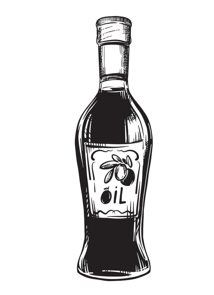 Olive oil bottle isolated on white background. sketch, vintage hand engraving. Hand drawn ink drawing of a bottle. Line art for menu, design, label. vector