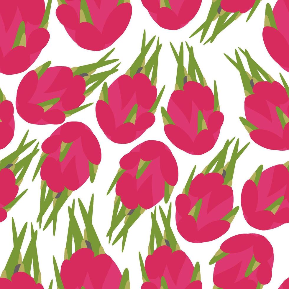 pattern ripe dragon fruit on white vector