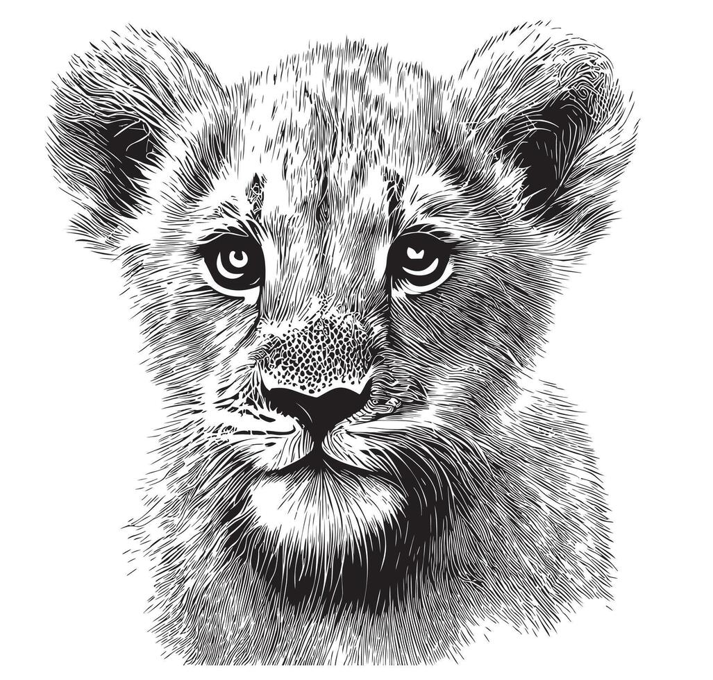 Little lion cub head hand drawn sketch illustration, Wild animals vector