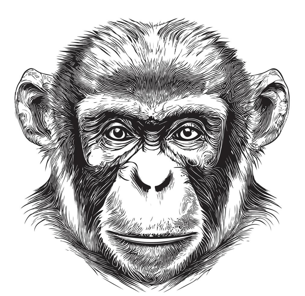 Monkey face sketch hand drawn in doodle style illustration vector