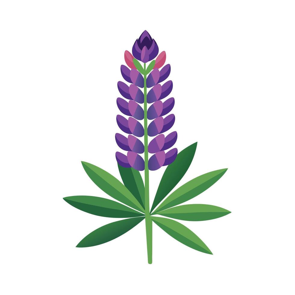 Beautiful Flower Minimalist Floral Illustration vector