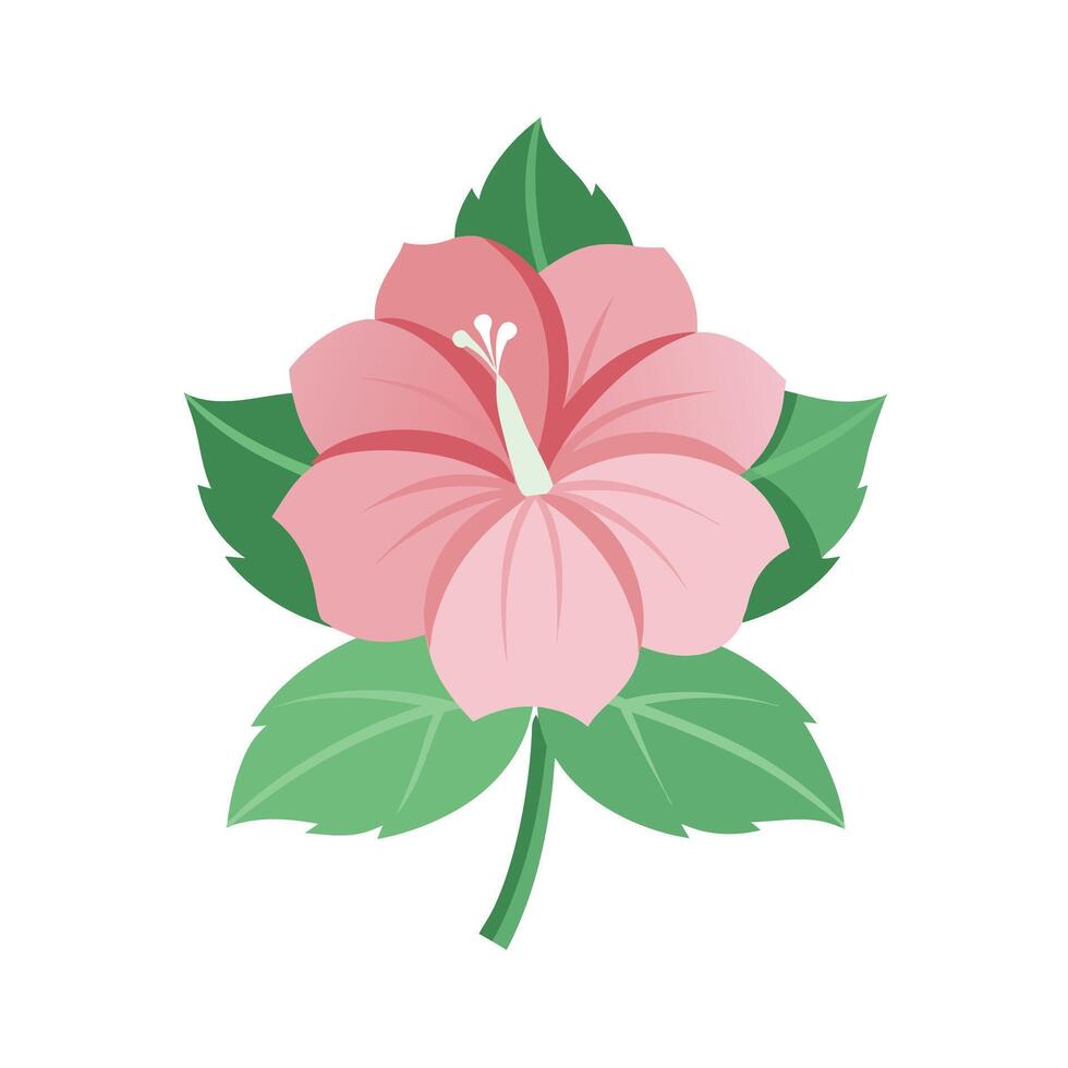 Beautiful Flower Minimalist Floral Illustration vector