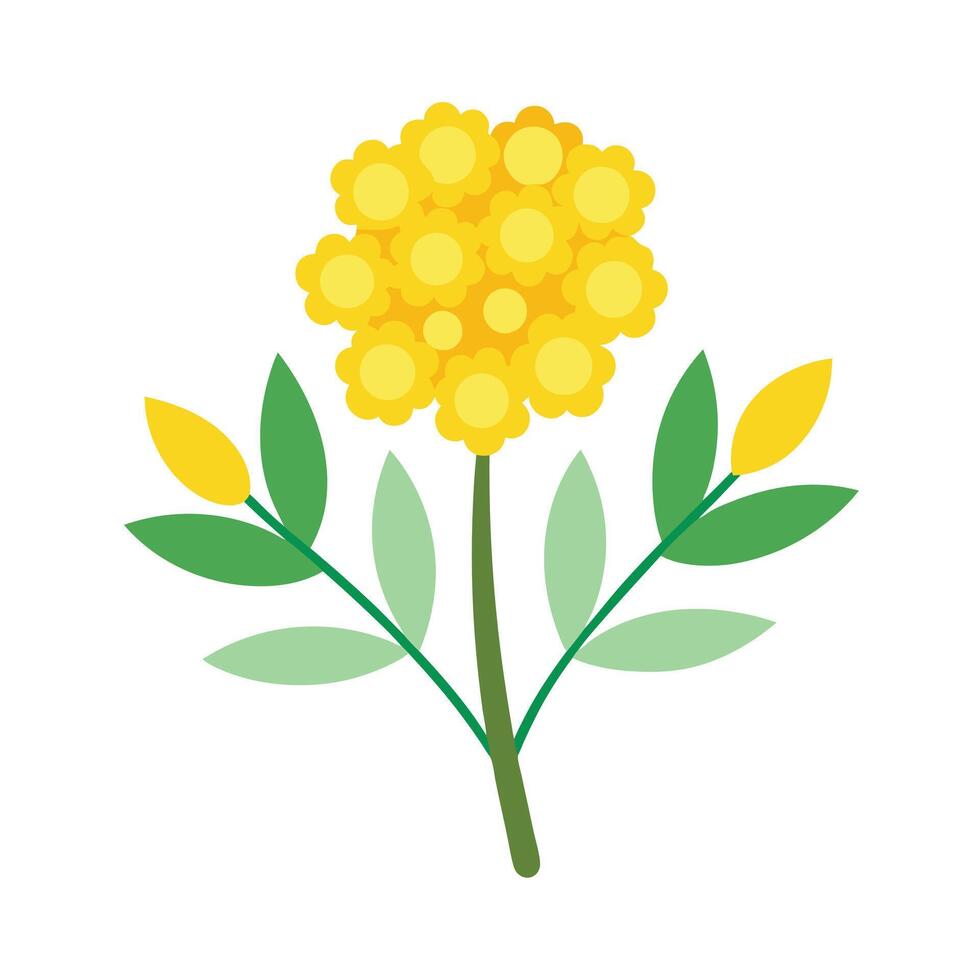 Beautiful Flower Minimalist Floral Illustration vector