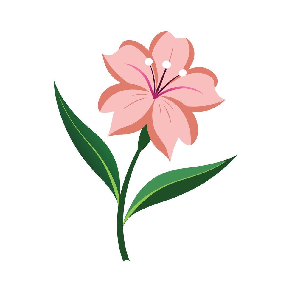 Beautiful Flower Minimalist Floral Illustration vector