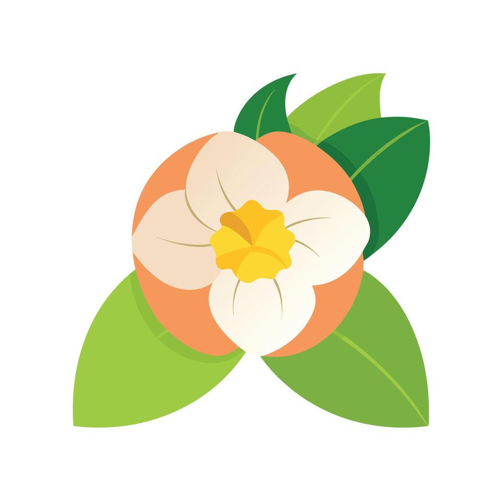 Beautiful Flower Minimalist Floral Illustration vector