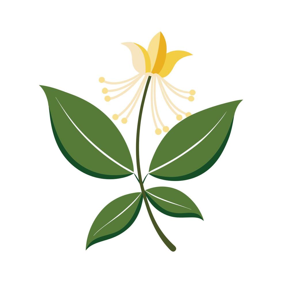 Beautiful Flower Minimalist Floral Illustration vector