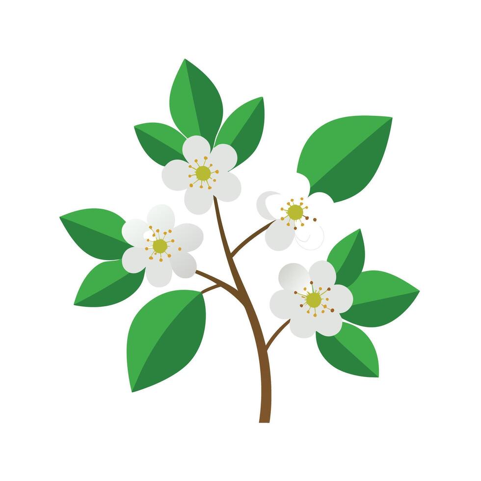 Beautiful Flower Minimalist Floral Illustration vector