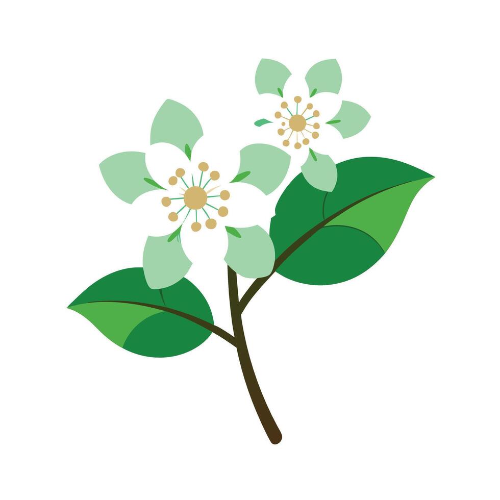 Beautiful Flower Minimalist Floral Illustration vector