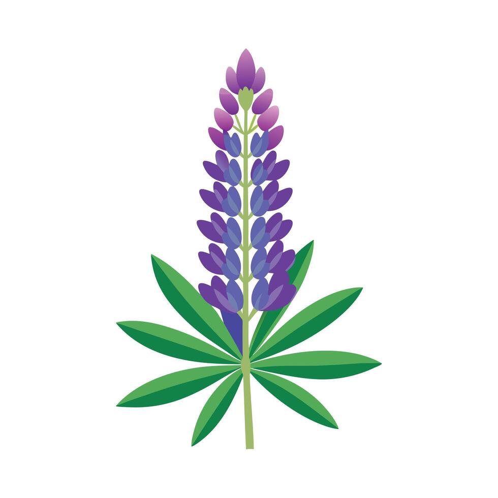 Beautiful Flower Minimalist Floral Illustration vector
