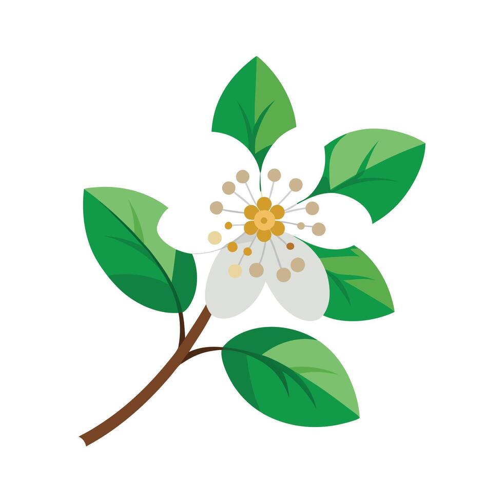 Beautiful Flower Minimalist Floral Illustration vector