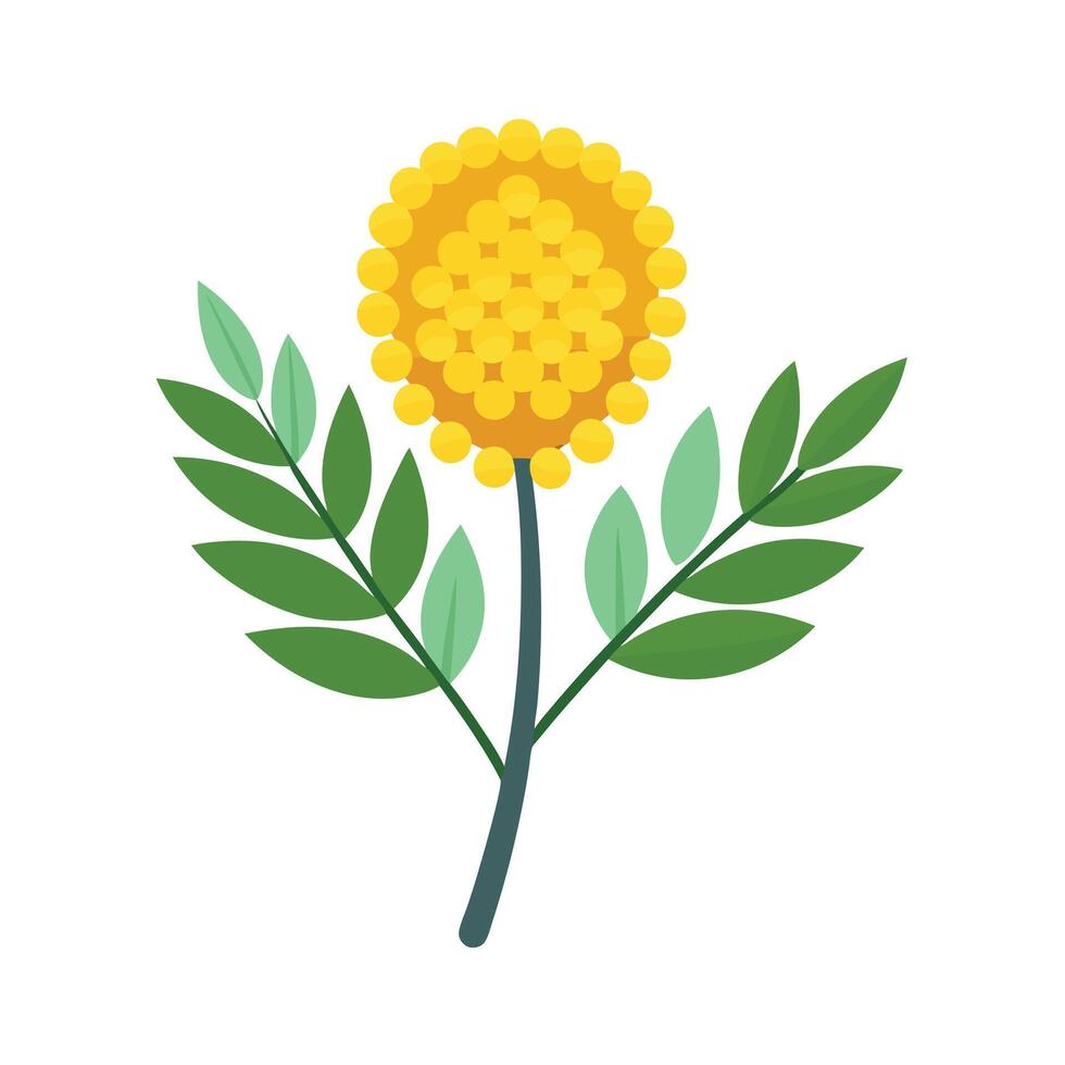 Beautiful Flower Minimalist Floral Illustration vector