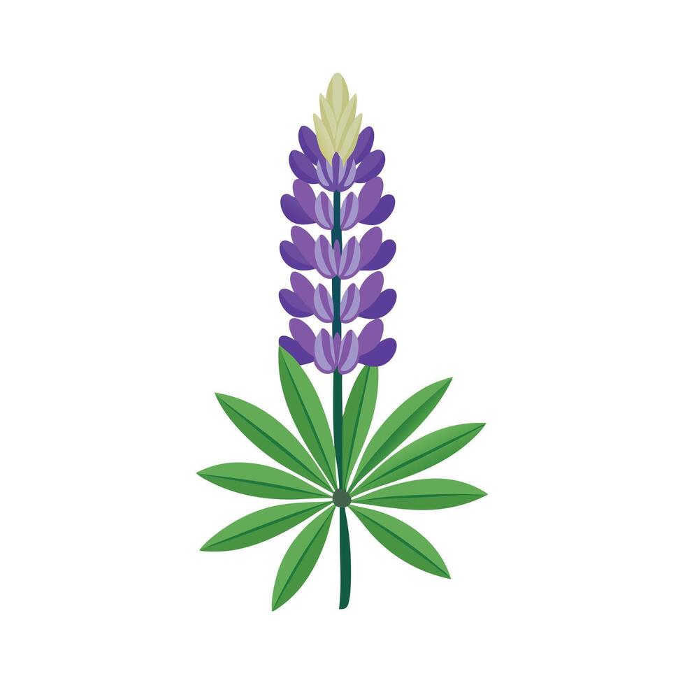 Beautiful Flower Minimalist Floral Illustration vector