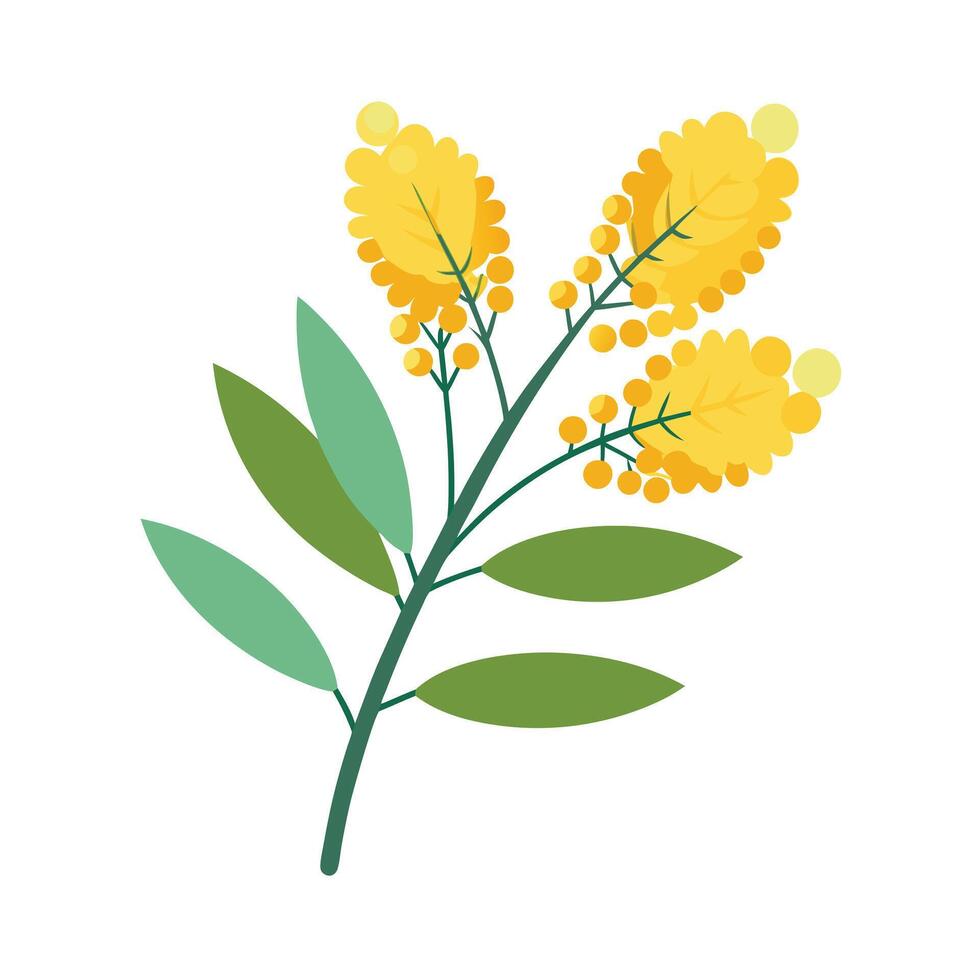 Beautiful Flower Minimalist Floral Illustration vector