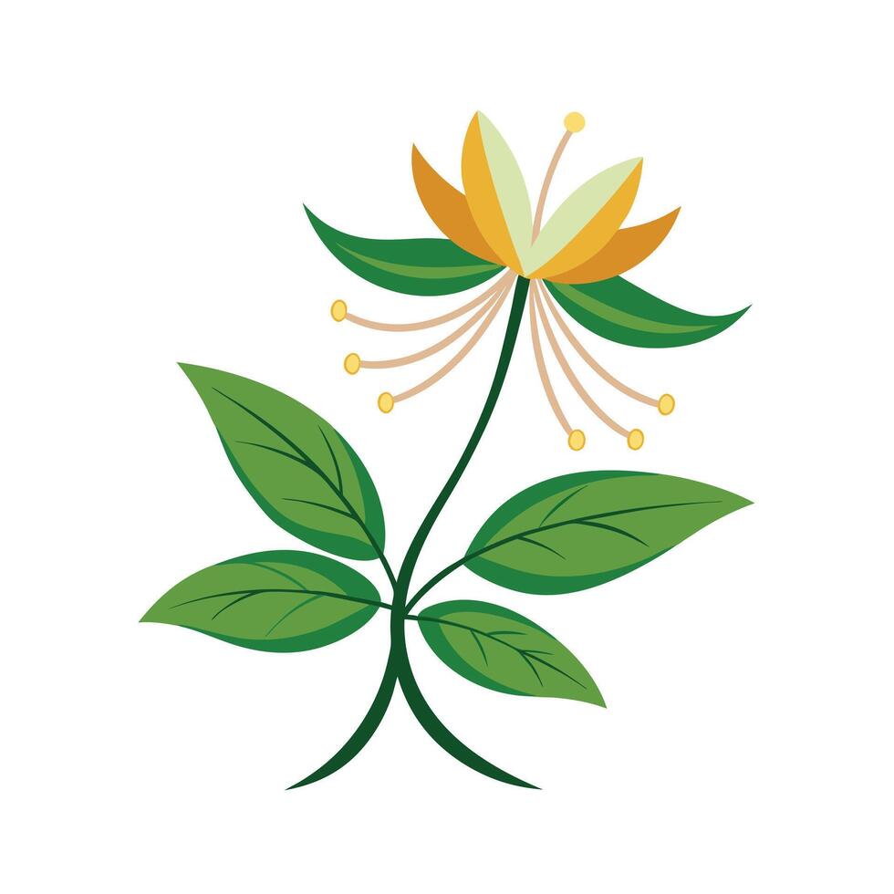 Beautiful Flower Minimalist Floral Illustration vector