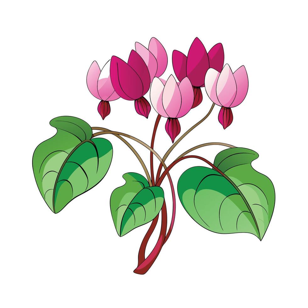 Beautiful Flower Minimalist Floral Illustration vector