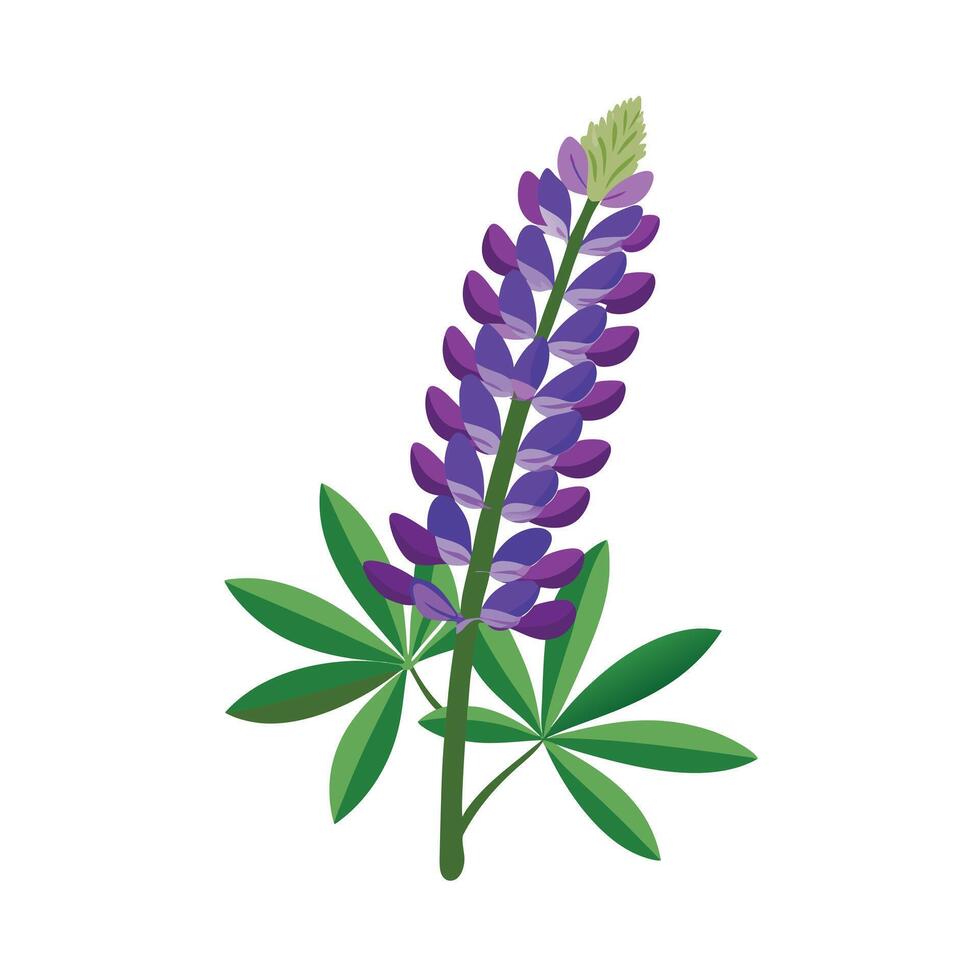 Beautiful Flower Minimalist Floral Illustration vector