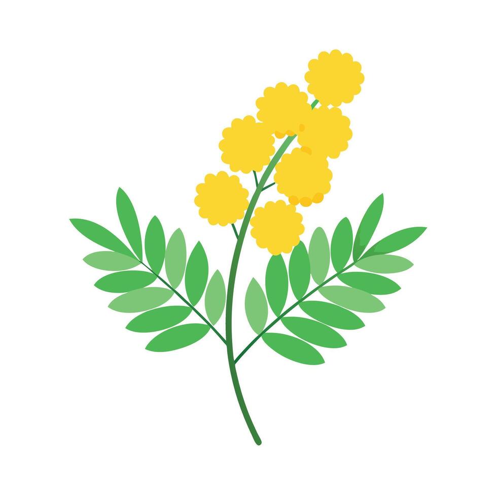 Beautiful Flower Minimalist Floral Illustration vector