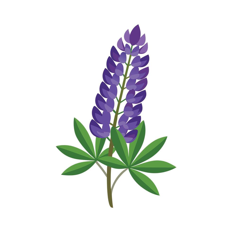 Beautiful Flower Minimalist Floral Illustration vector