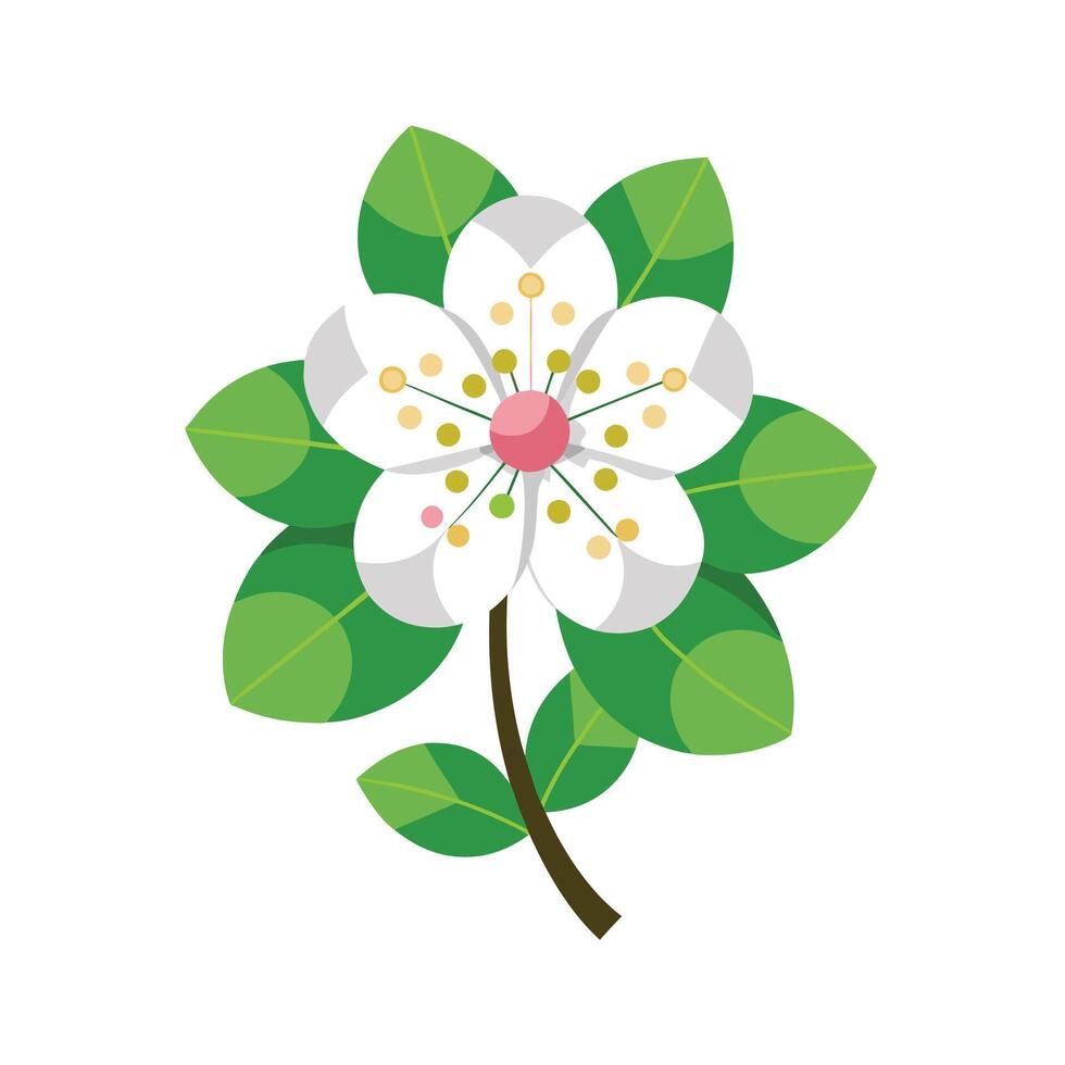 Beautiful Flower Minimalist Floral Illustration vector
