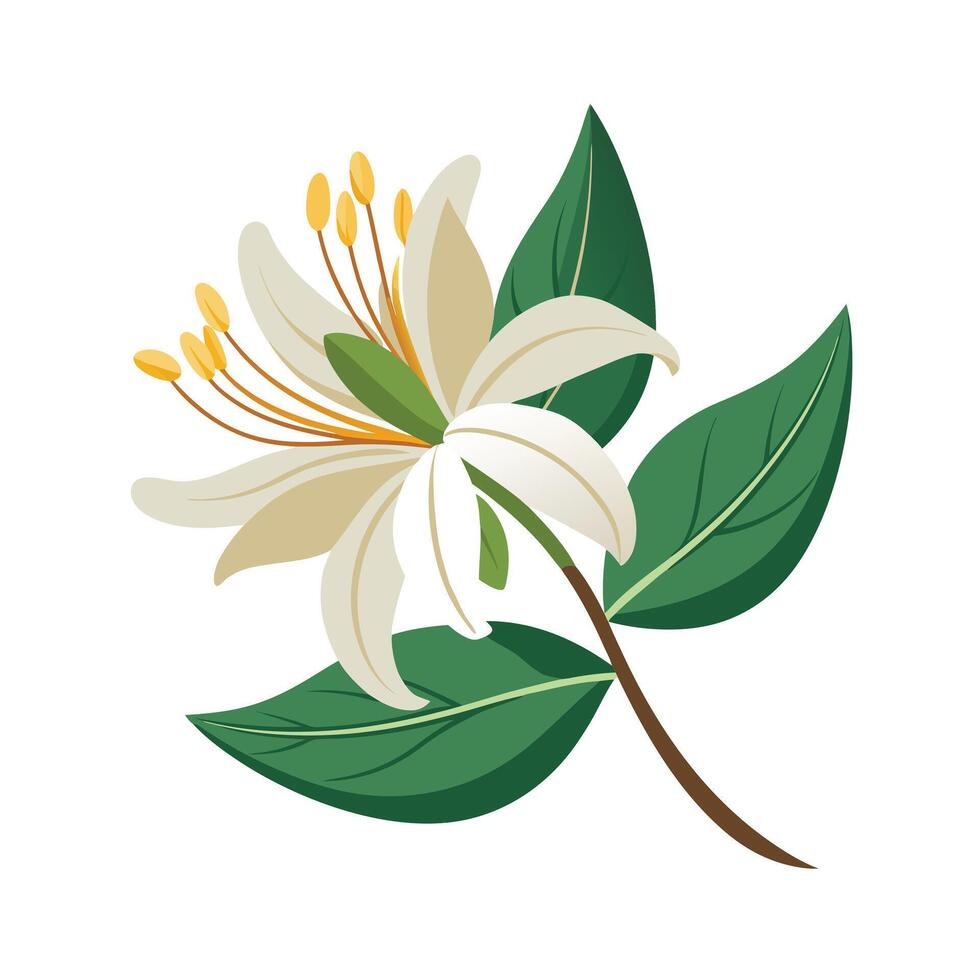Beautiful Flower Minimalist Floral Illustration vector