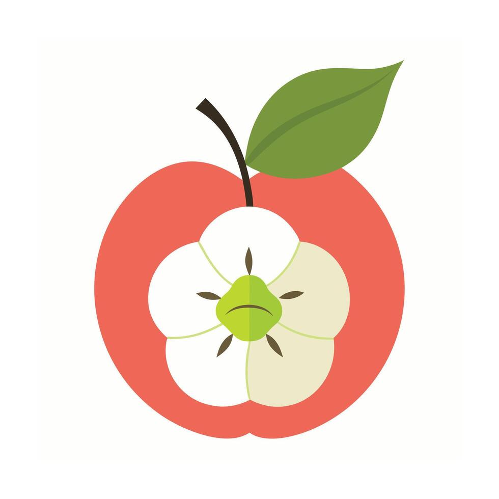 Beautiful Flower Minimalist Floral Illustration vector